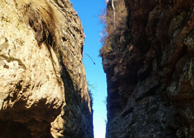 丹清河国家森林公园