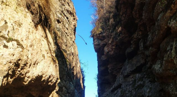 丹清河国家森林公园