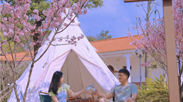 去野部落-清远山野露营地