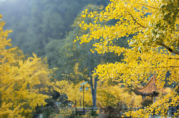 帽子峰旅游景区第 85 张图片
