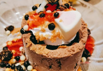 珠海长隆企鹅酒店•帝企鹅自助餐厅•儿童岛•真企鹅第 69 张图片