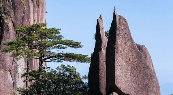 三清山-企鹅献桃