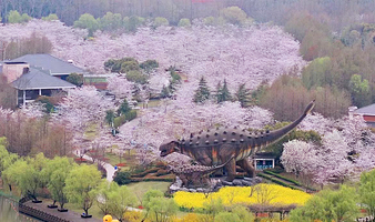 顾村公园自然谷恐龙乐园