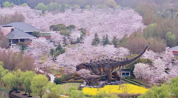 顾村公园自然谷恐龙乐园