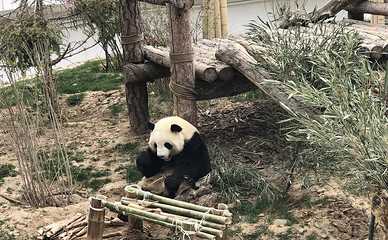 西宁野生动物园第 81 张图片