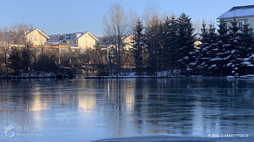 中华秋沙鸭公园