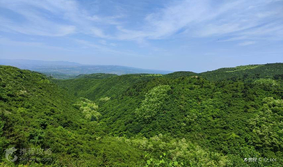 仲山森林公园第 2 张图片