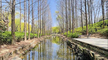 李沧区溪流湿地
