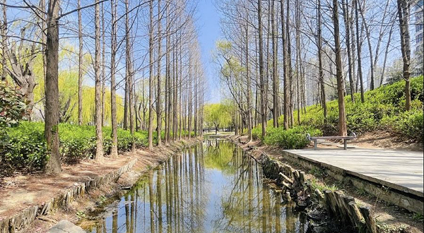 李沧区溪流湿地