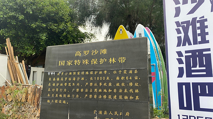 高罗沙滩国家特殊保护林带第 3 张图片