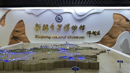 新疆自然博物馆第 1 张图片