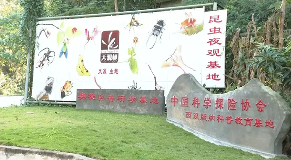 天源虫趣科普研学艺术馆