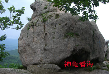 蜂蜜山第 11 张图片