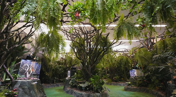 穿越亚马逊雨林馆