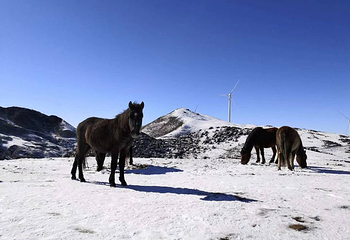 盘州乌蒙大草原滑雪场第 2 张图片