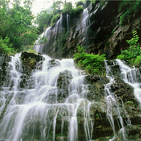 蟒河生态旅游区