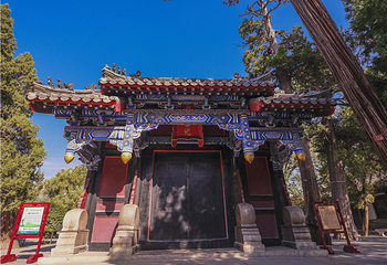 曲阜三孔景区第 76 张图片