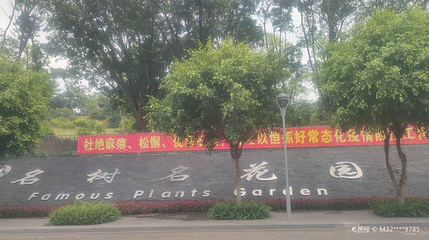 名树名花园第 1 张图片