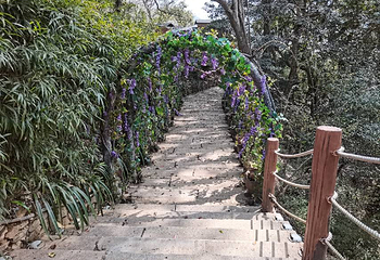 婺源严田第 20 张图片