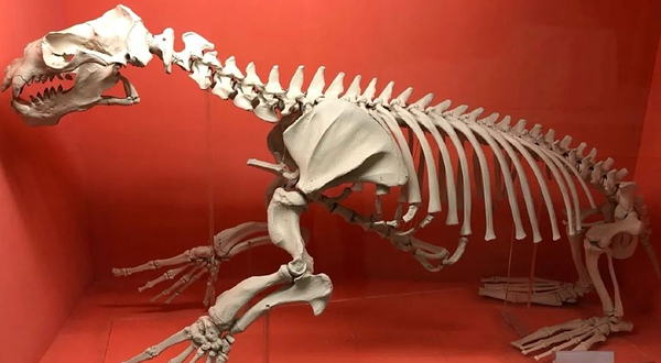 中山大学(广州校区南校园)-生物博物馆