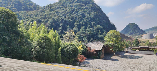 天龙屯堡景区第 23 张图片
