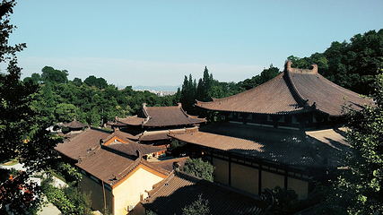 温州市景山森林公园第 3 张图片