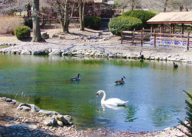 埃德蒙顿河谷动物园