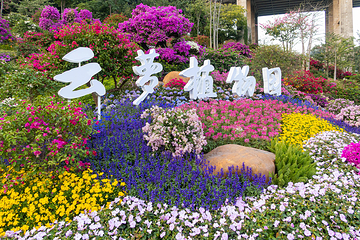 白云山第 37 张图片