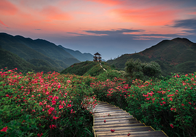 大围山国家森林公园