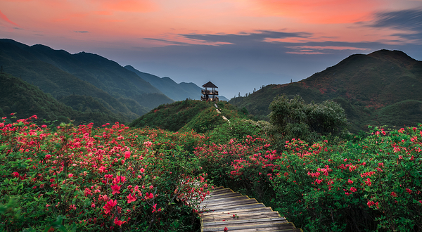 大围山国家森林公园
