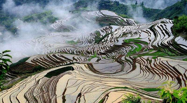 念山云上梯田景区