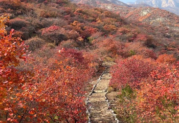 北京药王谷风景区第 58 张图片