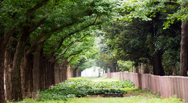 寺外桃源旅游景区