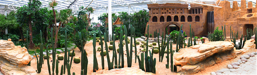 泰山花样年华景区第 33 张图片