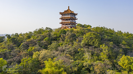 小鱼山公园第 5 张图片