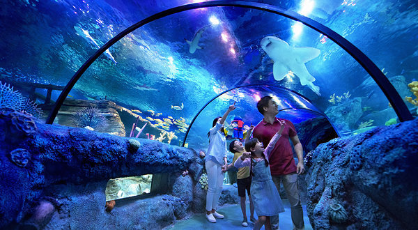 马来西亚乐高乐园水族馆