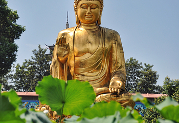 华岩寺第 18 张图片