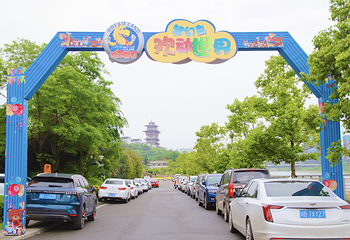 梦幻岛欢动世界第 9 张图片