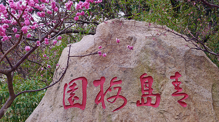 十梅庵风景区第 3 张图片