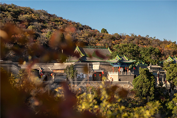 龙山景区第 8 张图片