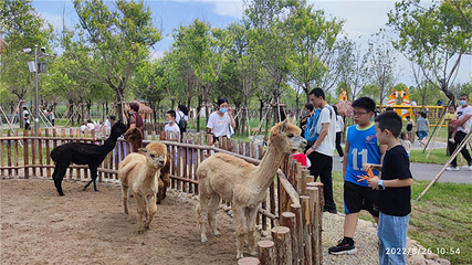 鑫诚田园生态旅游区第 17 张图片