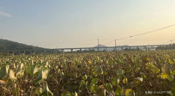 九江庐山宜荷园