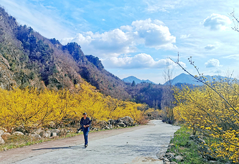 老界岭旅游度假区第 21 张图片