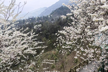 汶川无忧谷第 52 张图片