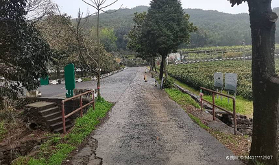 大雷山第 1 张图片