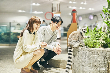 大阪 水生美世界NIFREL第 7 张图片