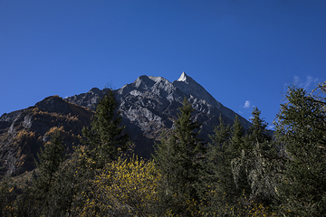 四姑娘山长坪沟景区第 7 张图片