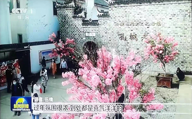 安庆市桐城孔城老街第 17 张图片