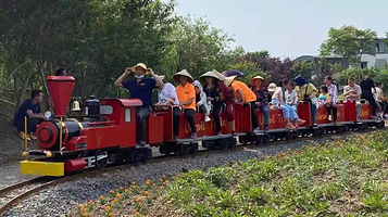 花样年画·时光里