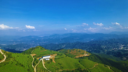 国心绿谷第 6 张图片